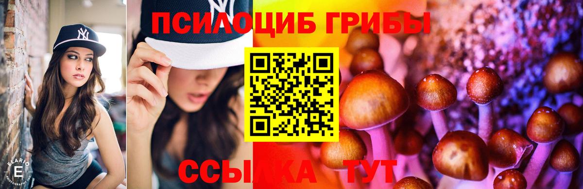 Галлюциногенные грибы Psilocybine cubensis  Галлюциногенные грибы MAGIC MUSHROOMS  Изобильный  Вход с VPN 